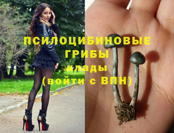 винт Медногорск