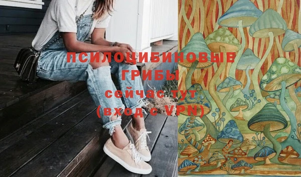 mdpv Медвежьегорск