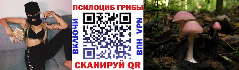 маркетплейс формула  Сычёвка  Галлюциногенные грибы Magic Shrooms 